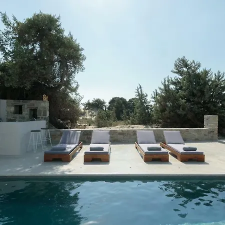 Cedar Forest Oceanfront Villa, 4br Private Pool - Naxos Alikó-part