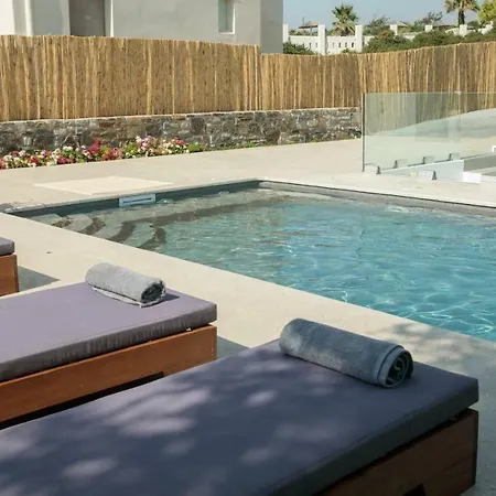Cedar Forest Oceanfront Villa, 4br Private Pool - Naxos Alikó-part